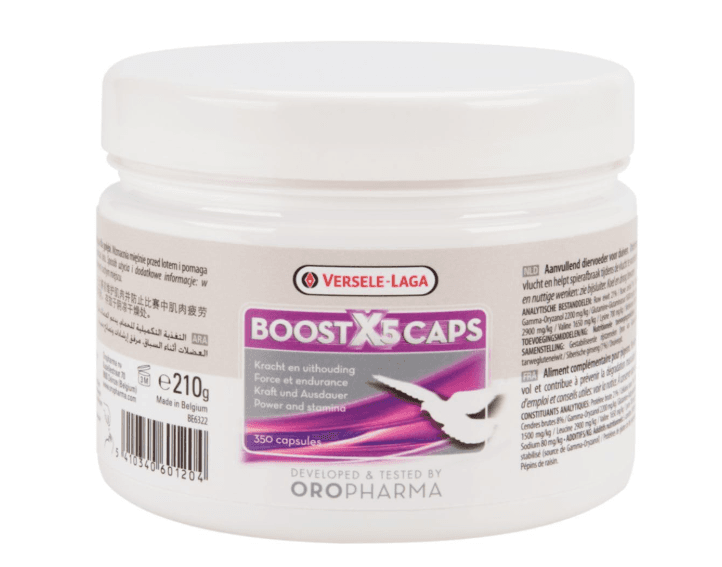 Boost X5 Caps Oropharma Versele-Laga 
 Product presentation 
 Complementary feed for pigeons. Oropharma Boost X5 Caps is a unique mixture of natural products, including amino acids