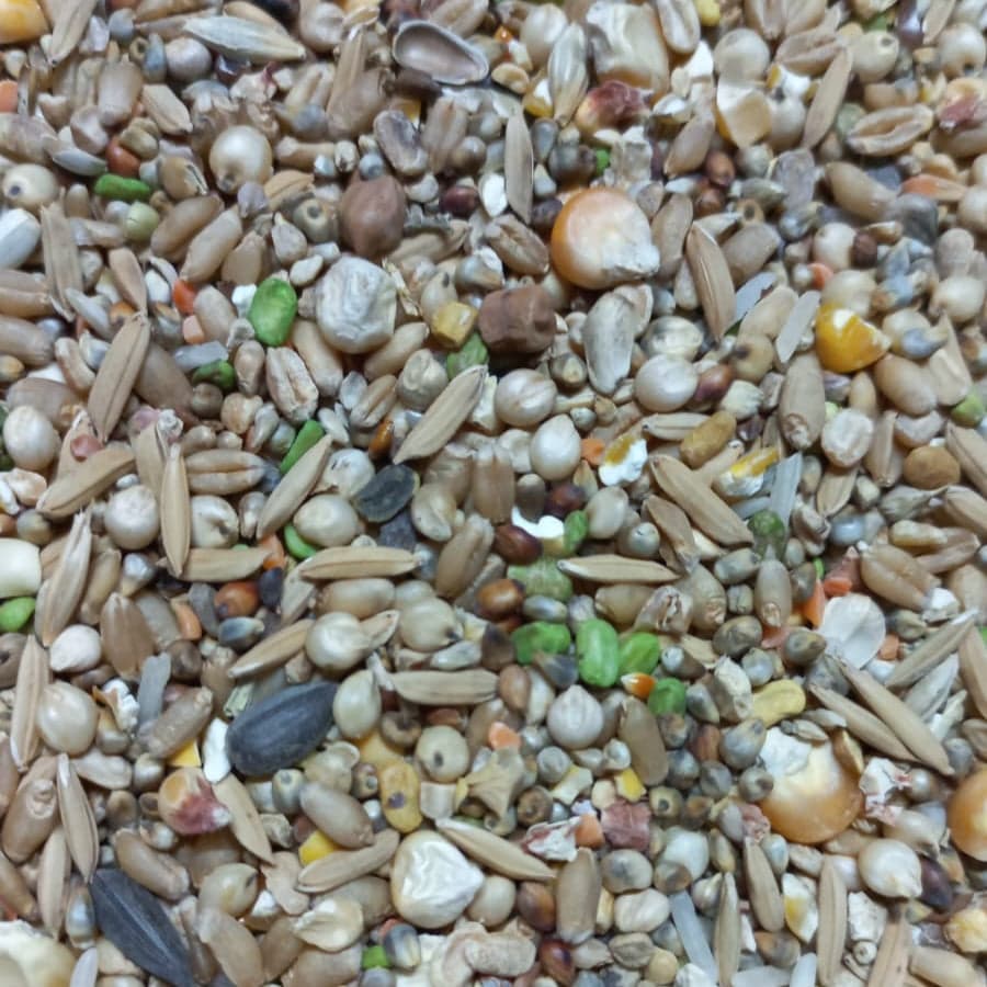 Price per Kg 

 Excellent quality Daal Dana. Now available on Birdsplanet