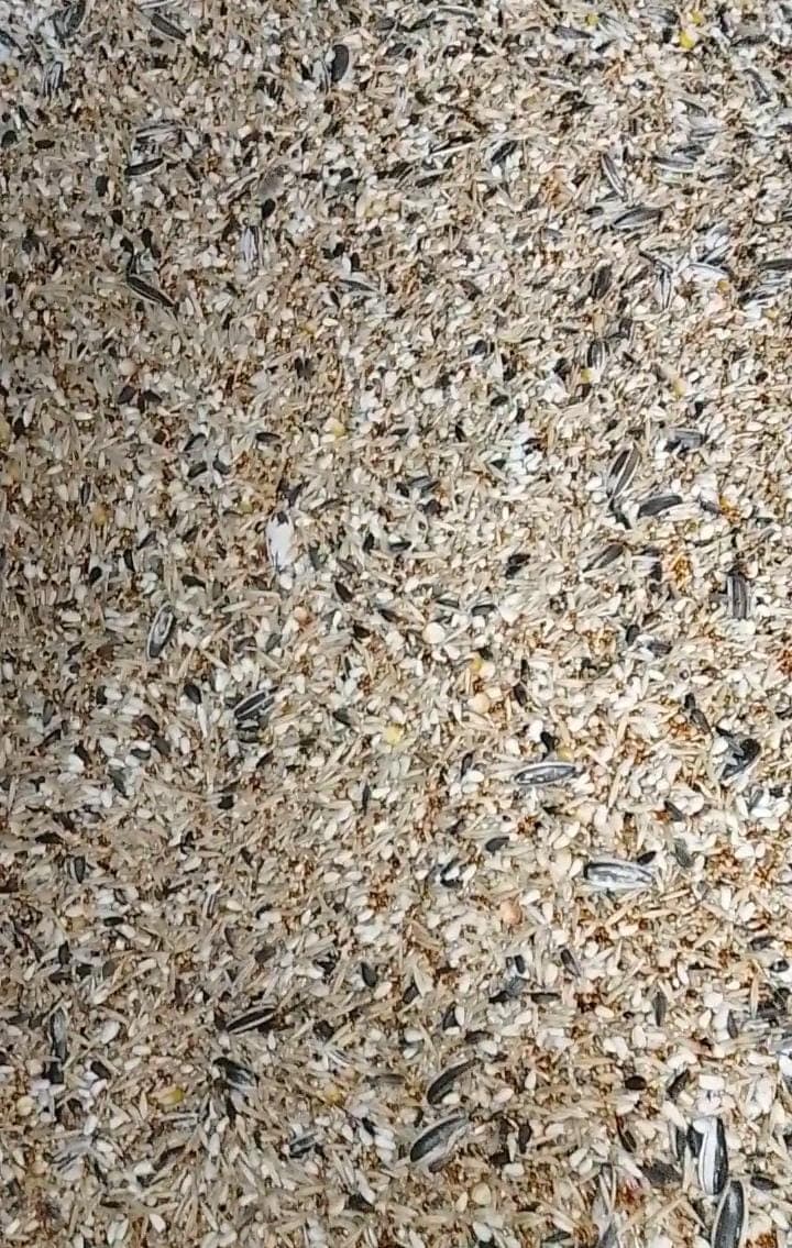 Specially Formulated "Seed Mix" for "Breeder Pairs"