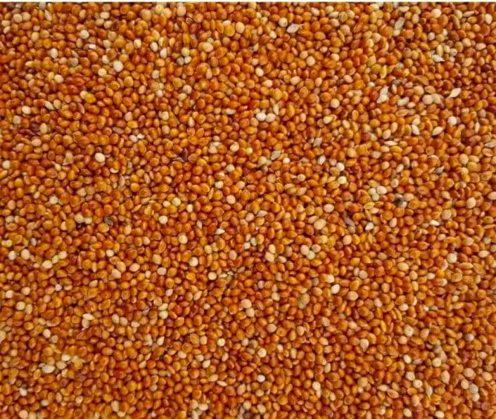 Very good quality "Lal Cheena" 
 Price per Kg