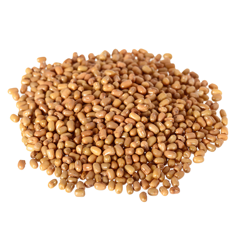 Premium Quality beans are a rich source of proteins. 

 They are a rich source of dietary fiber, and numerous significant nutrients and minerals.