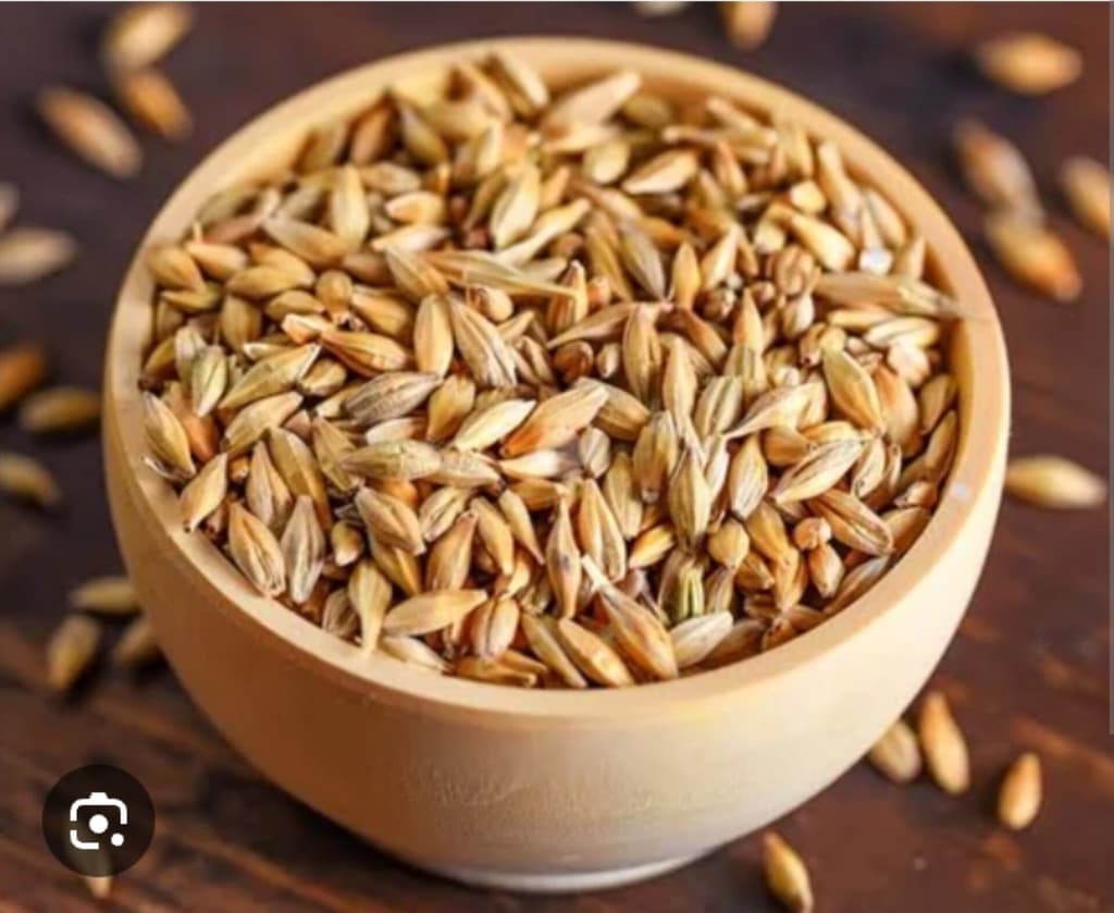 Good quality seeds are uniformly shaped and free from defects.

 Jau seeds are an excellent choice for your pet birds.