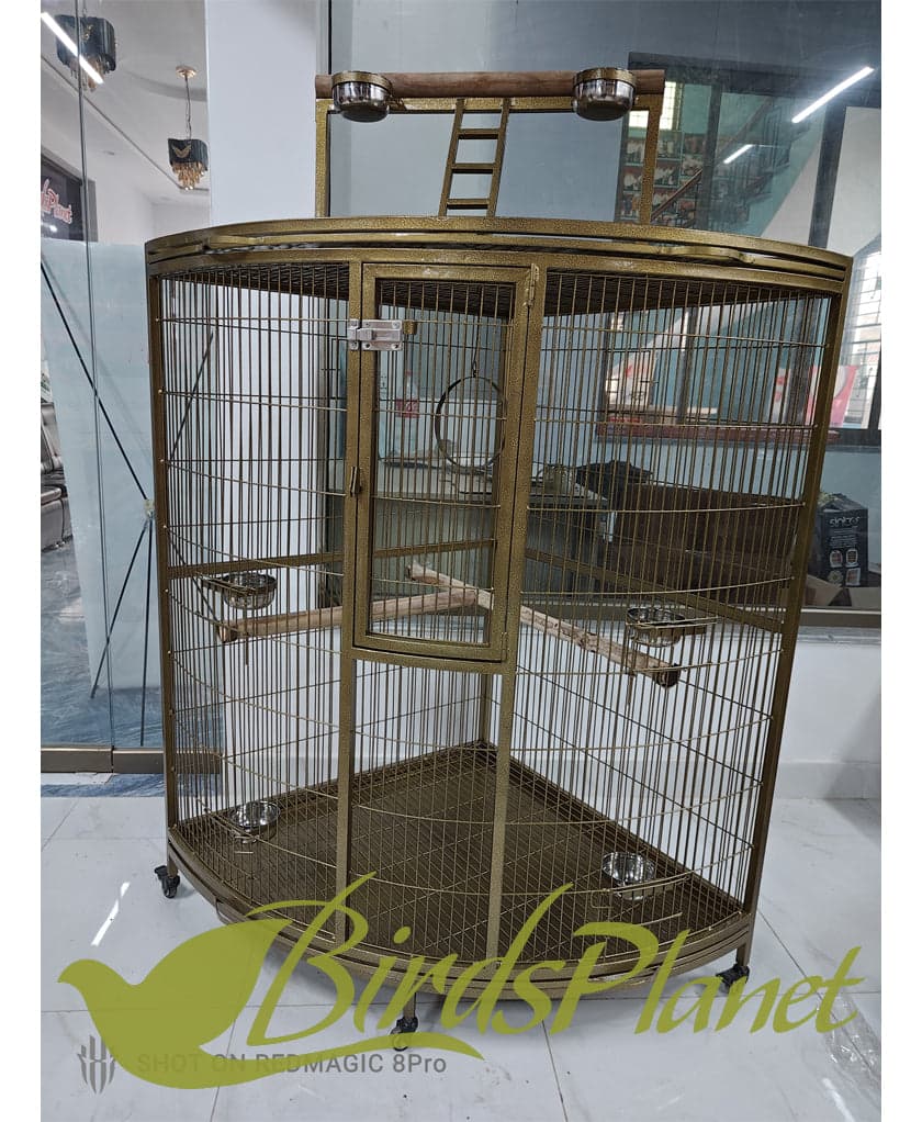 This cage is very beautiful, as you can see in the attached pictures. Brand New Cages We manufacture after every 5 days so all stock is freshly painted with powder coating work. Be