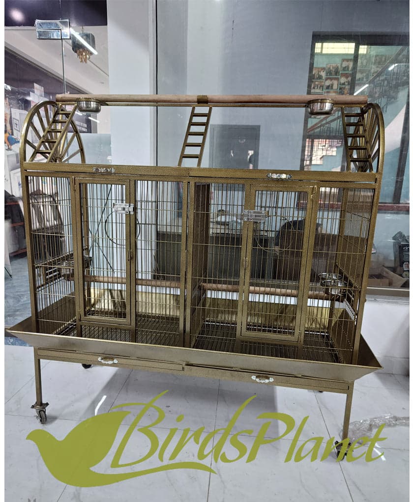 This cage is very beautiful as you can see in attached pictures. Brand New Cages We manufacture after every 5 days so all stock are freshly painted with powder coating work. Believ