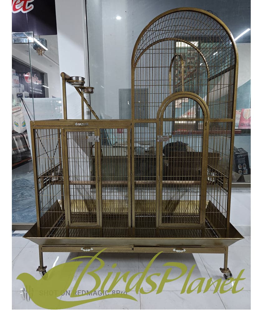 This cage is very beautiful as you can see in attached pictures. Brand New Cages We manufacture after every 5 days so all stock are freshly painted with powder coating work. Believ