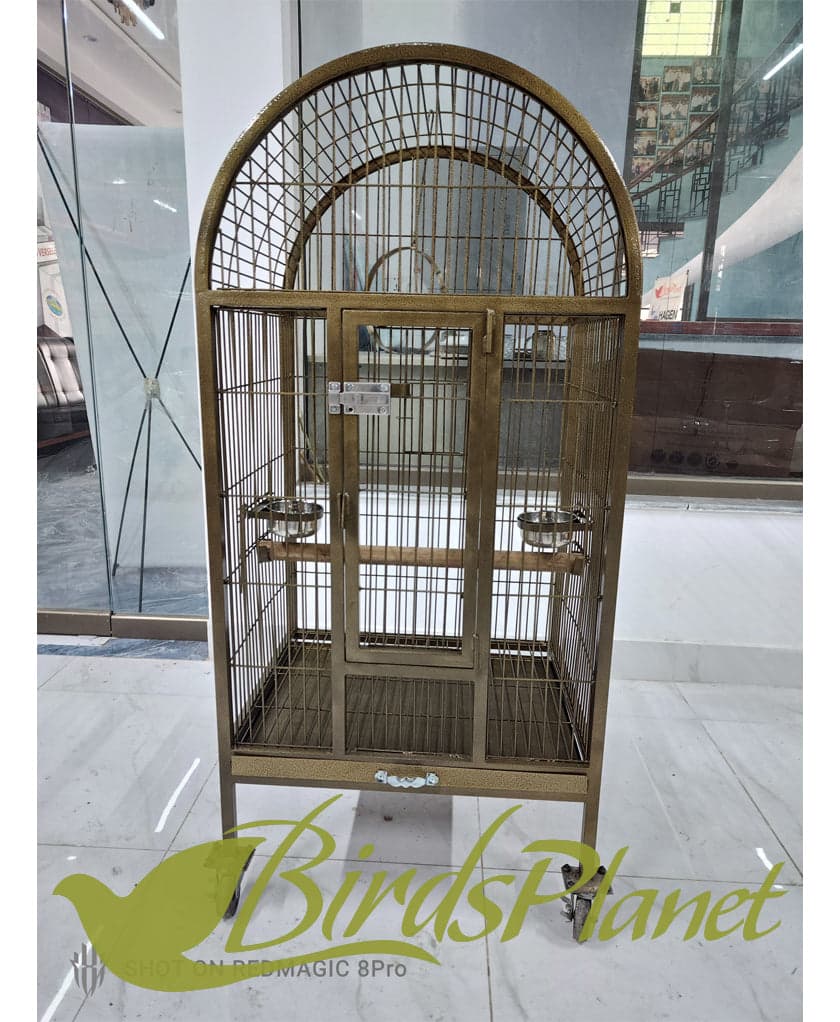 This cage is very beautiful as you can see in attached pictures. Brand New Cages We manufacture after every 5 days so all stock are freshly painted with powder coating work. Believ