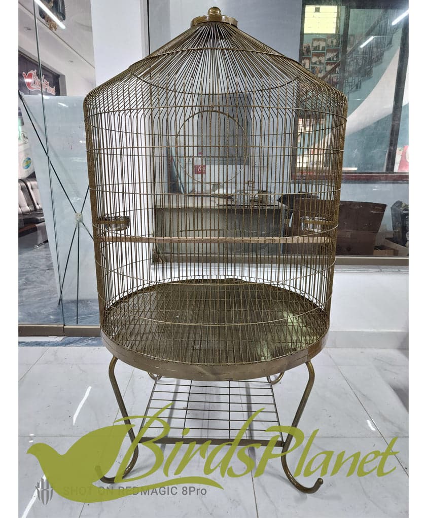 This cage is very beautiful as you can see in attached pictures. Brand New Cages We manufacture after every 5 days so all stock are freshly painted with powder coating work. Believ