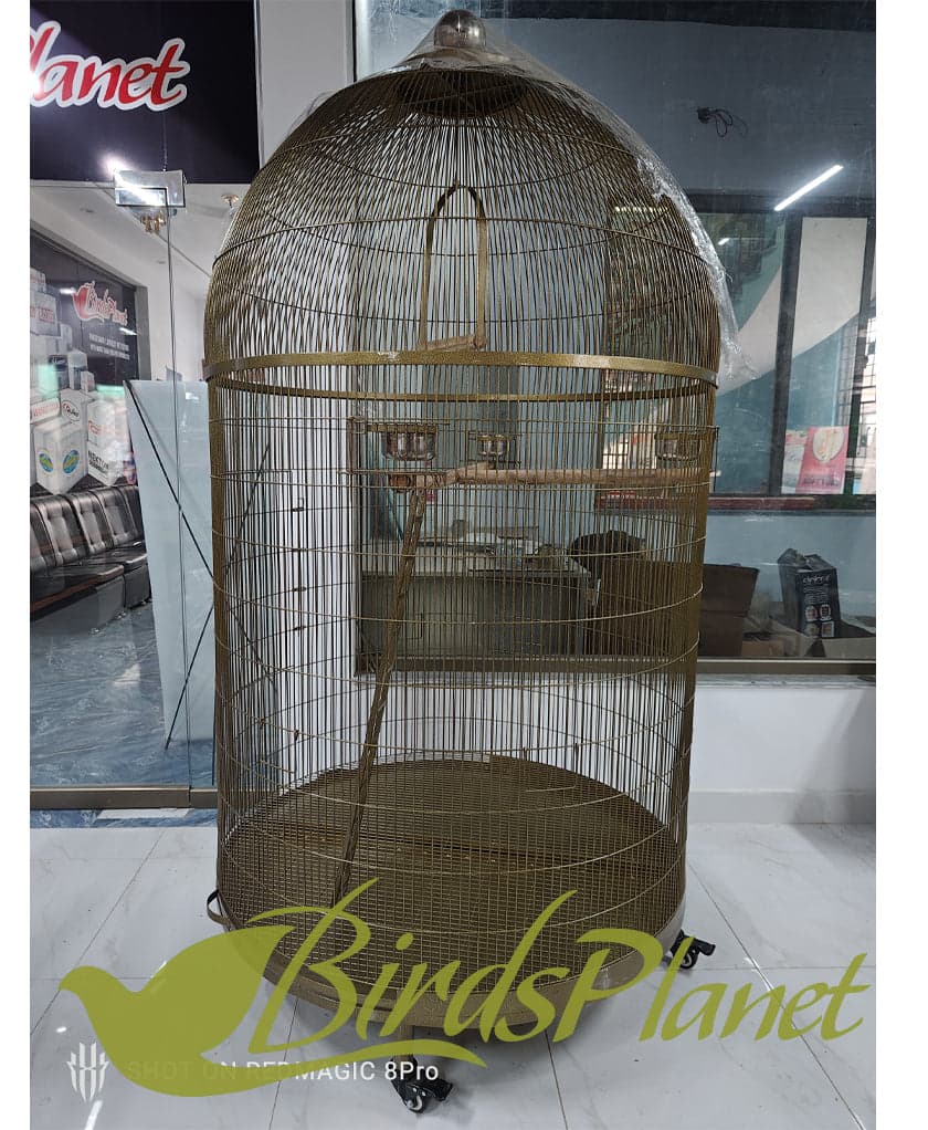 This cage is very beautiful as you can see in attached pictures. Brand New Cages We manufacture after every 5 days so all stock are freshly painted with powder coating work. Believ