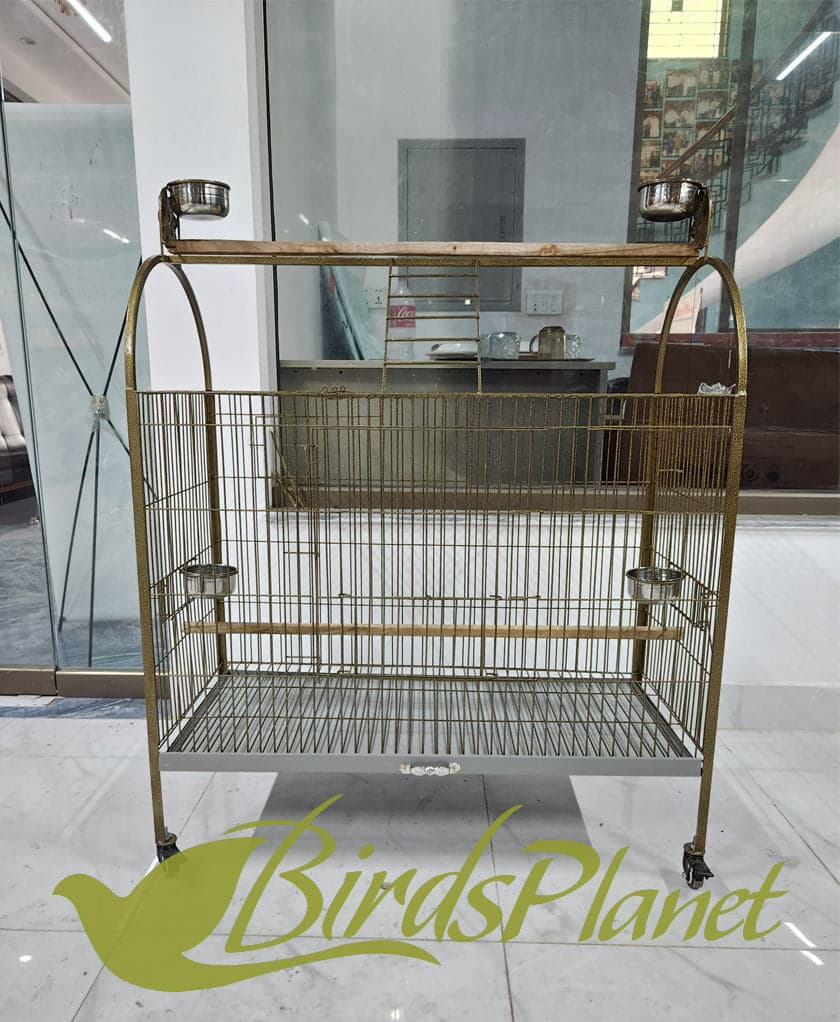 This cage is very beautiful as you can see in attached pictures. Brand New Cages We manufacture after every 5 days so all stock are freshly painted with powder coating work. Believ