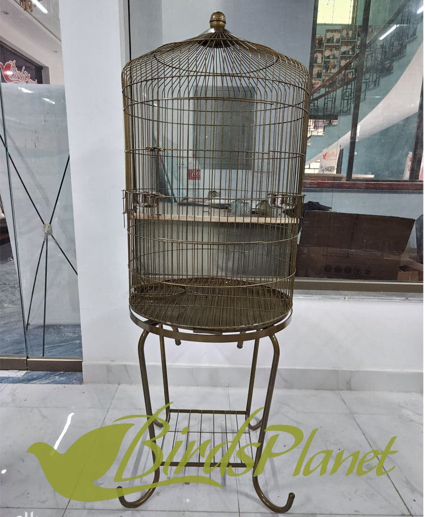 This cage is very beautiful as you can see in attached pictures. Brand New Cages We manufacture after every 5 days so all stock are freshly painted with powder coating work. Believ
