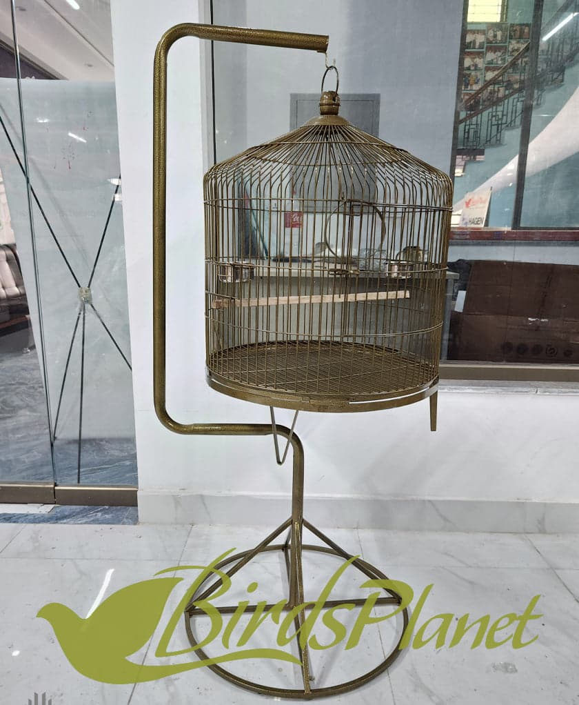 This cage is very beautiful as you can see in attached pictures. Brand New Cages We manufacture after every 5 days so all stock are freshly painted with powder coating work. Believ