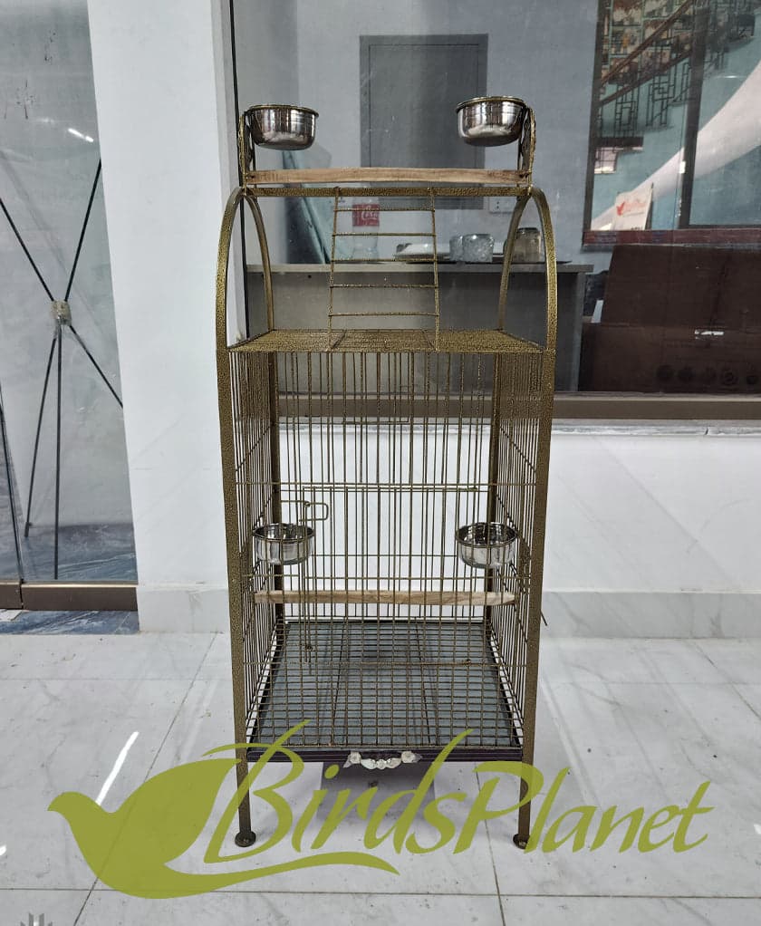 This cage is very beautiful as you can see in attached pictures. Brand New Cages We manufacture after every 5 days so all stock are freshly painted with powder coating work. Believ
