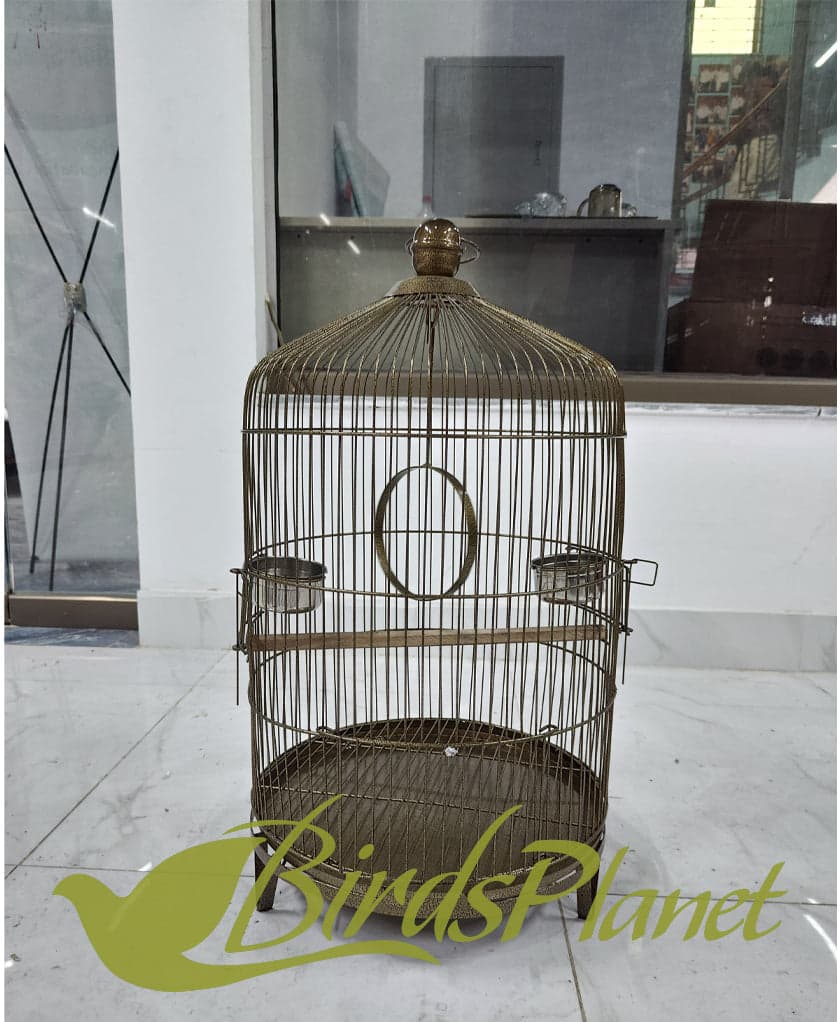This cage is very beautiful as you can see in attached pictures. Brand New Cages We manufacture after every 5 days so all stock are freshly painted with powder coating work. Believ