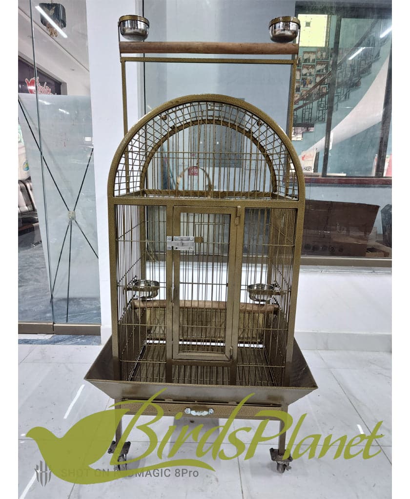 This cage is very beautiful as you can see in attached pictures. Brand New Cages We manufacture after every 5 days so all stock are freshly painted with powder coating work. Believ