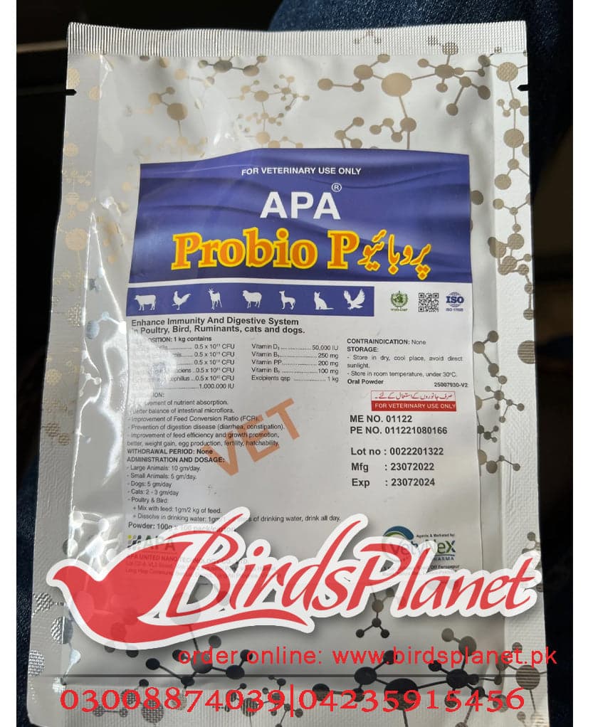 Product Description 

 Probio P: Enhance immunity And digestive System In Poultry, bird, Ruminants, cats, and dogs

 Indication:
-Improvement of nutrient absorption
-The better bal