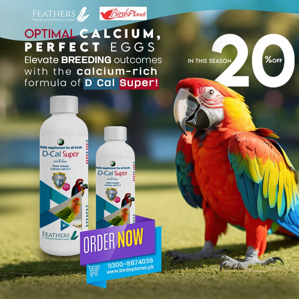 D – Cal Super 

 Boost instant Calcium Levels Vitamin D3 to increase calcium absorption Supports shell formation and normal development of bones A fittest supplement for routine us