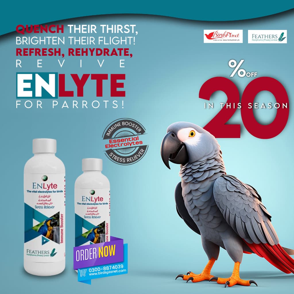 Enlyte 

 Boost instant energy Levels maintains hydration, and electrolyte balance in body

 An emergent therapy for any kind of stress A fittest supplement for routine use

 Indic