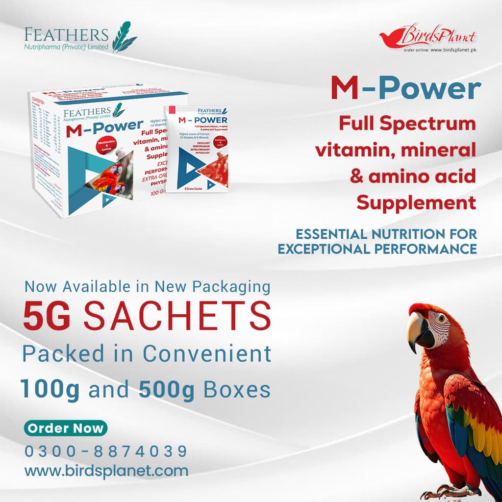 M – Power 

 Competing need of Limiting amino acids More Calcium for stronger bones

 All rounder formulation for excellent body functions Perfection in digestion and reproduction
