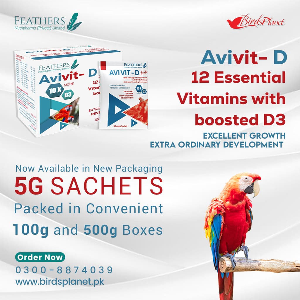 Avivit – D 

 Specially designed for Caged birds housed indoors 12 essential vitamins along with increased levels of Vitamin

 D3 Formula with Additional D3 Excellent absorption of