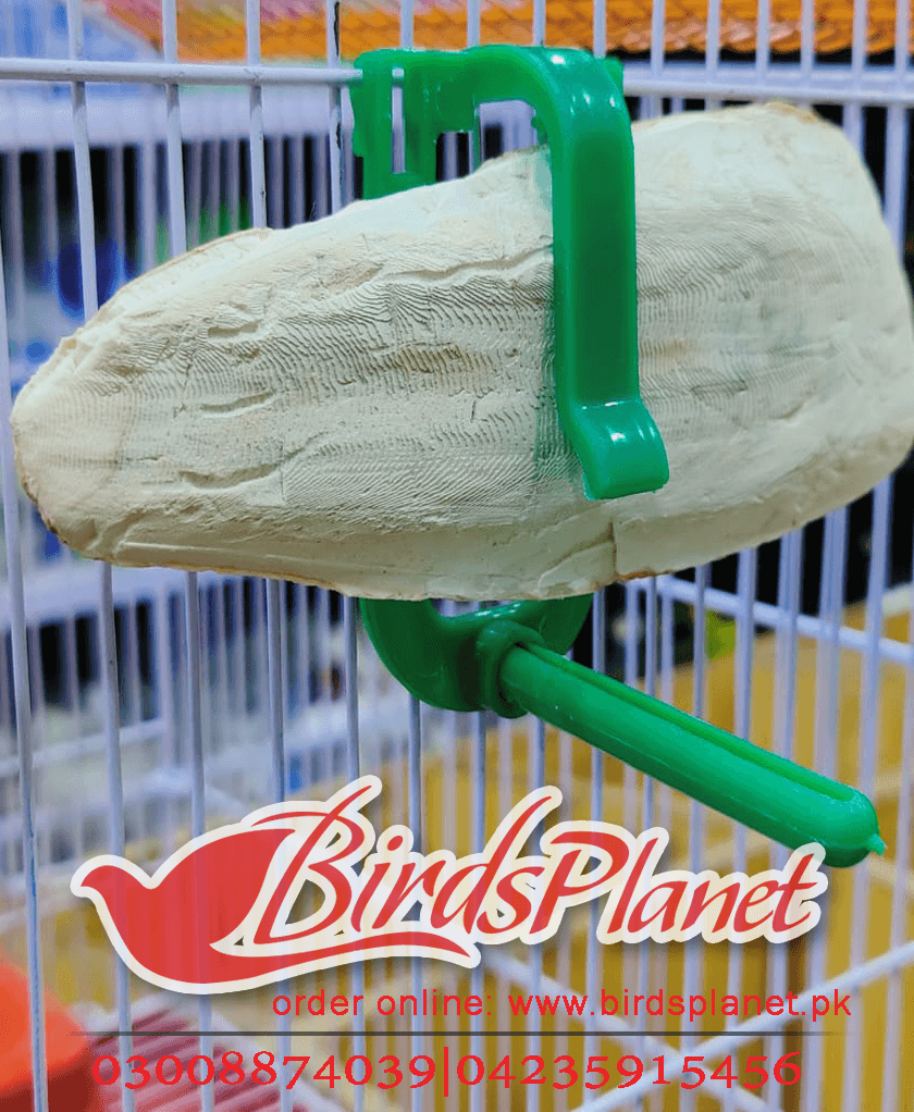 Cuttle bone holderThis holder hangs easily in any cage and can hold a variety of treats to help keep your bird healthy and interested.?