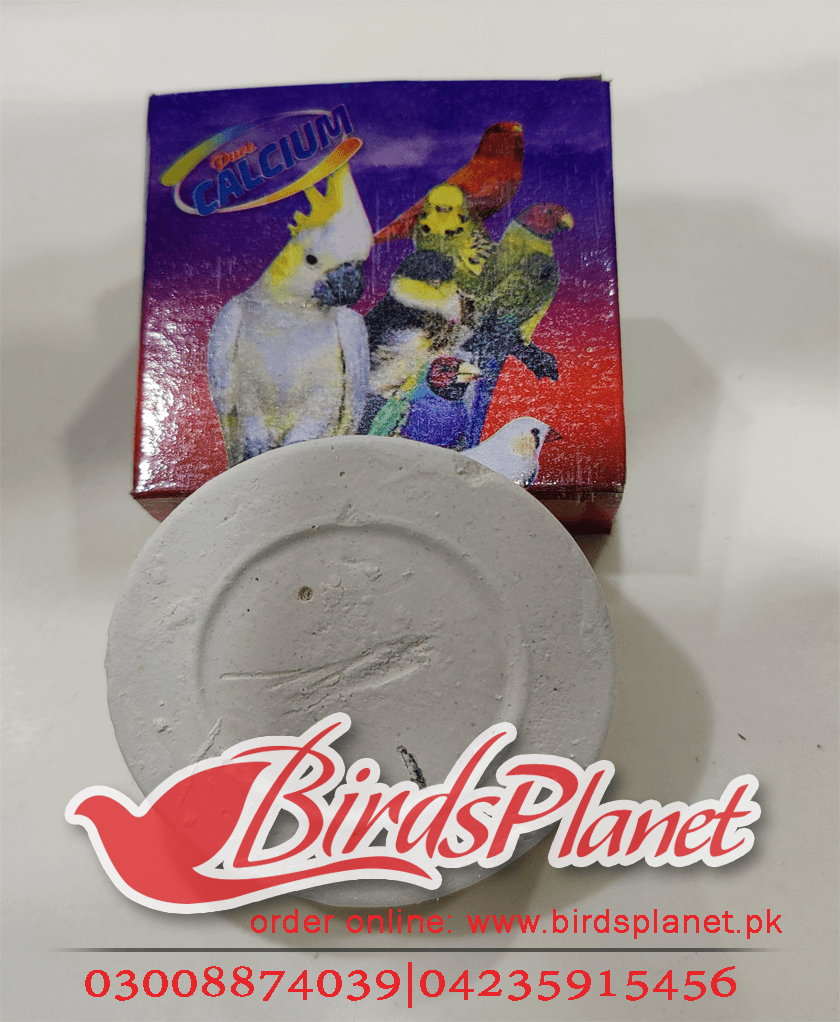 Bird Ego Original Block 

 Do birds need calcium? 

 Chicks need calcium to help form strong bones.

 in nature, the food birds eat typically doesn't have enough calcium for their 