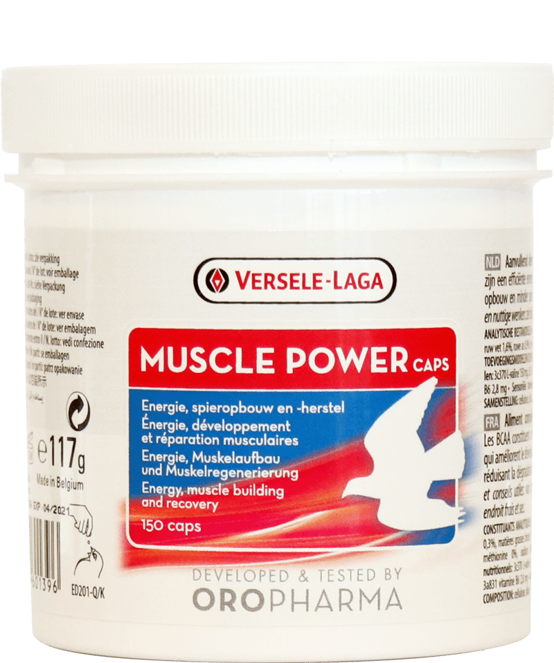 Muscle Power Capsules Oropharma Versele-Laga 
 BCAA capsules for quicker and better muscle building 

 Oropharma Muscle Power capsules are BCAAs (Branched Chain Amino Acids). Those