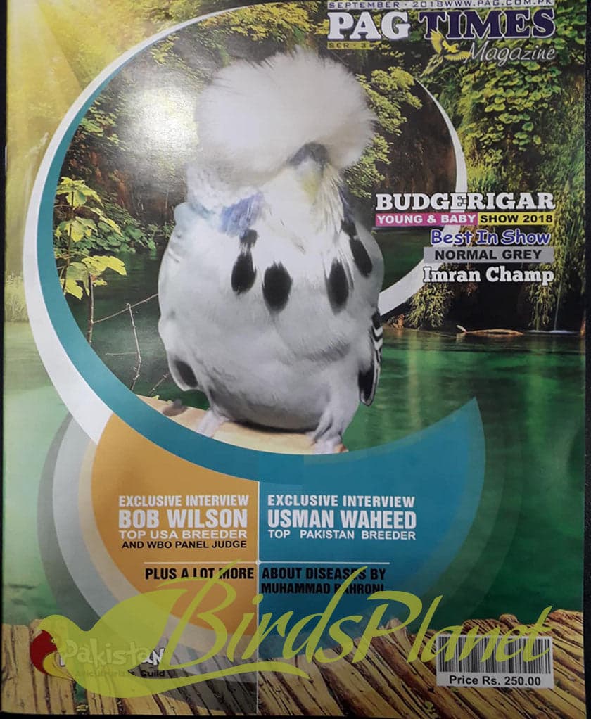 PAG TIMES MAGAZINE 2018 

 Enjoy Life with Birds . Pakistans First official Bird Magazine PAG TIMES , where you can find articles about famous breeders , articles from famous vets 