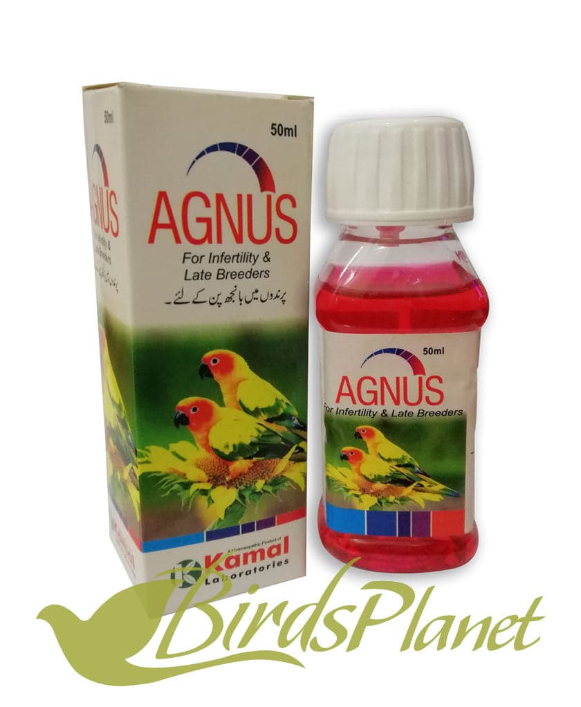 AGNUS (For infertility & Late Breeders) 

 Best treatment to cure infertility and other breeding problems in bird with following symptoms.

 Infertile Eggs

Low egg output

poor ha