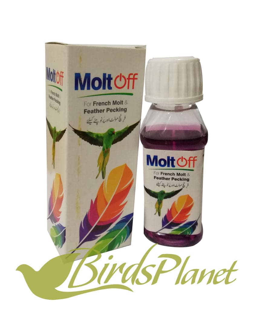 Molt off (For French Molt & Feather pecking) 

 Birds suffering from polyomavirus (French Molt) or feathers pecking showing the following symptoms

 feather abnomalities

Lethargy

