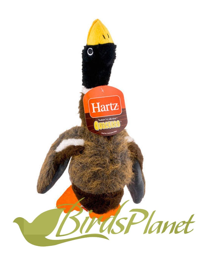 Hartz® Nature’s Collection® Quackers Plush Large 

 A dog’s favorite toy! Realistic plush designs with great sounding squeakers are available in 3 varieties – Black, Green, and Tan