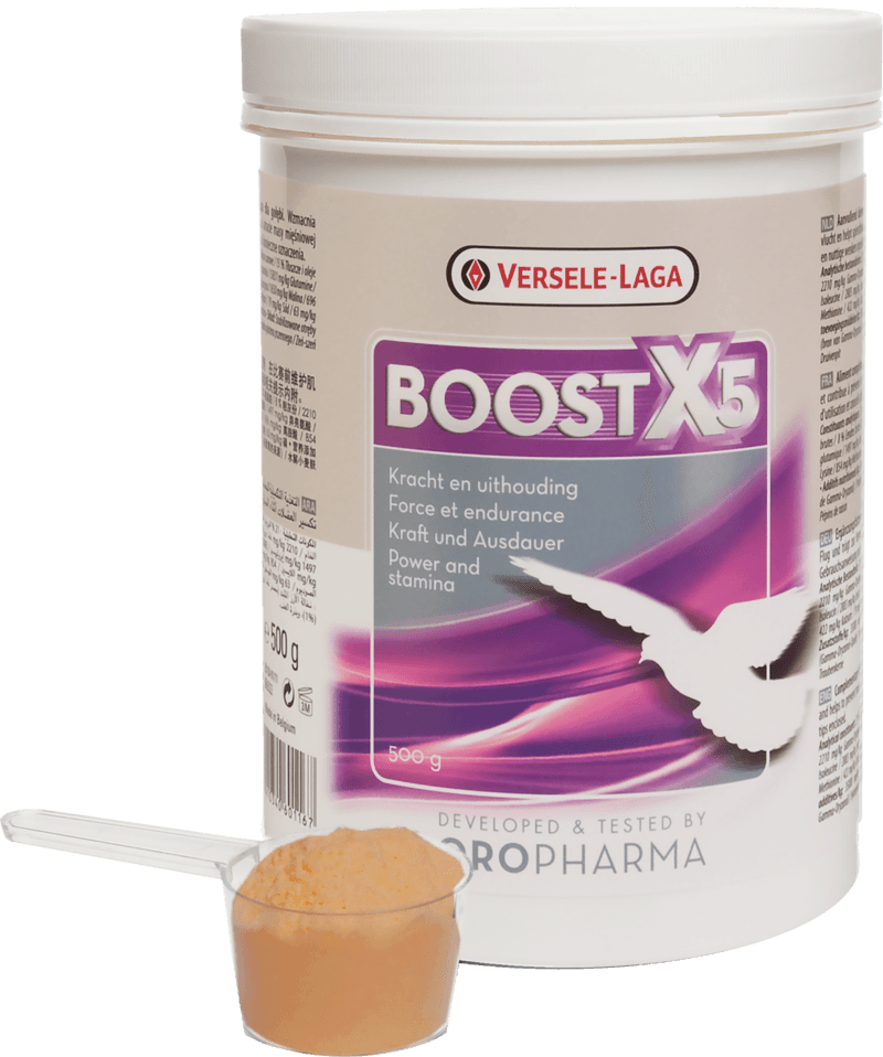 Oropharma Boost X5 

 Product presentation 

 Complementary feed for pigeons. Oropharma Boost X5 has been developed for a maximal support of the muscles. Administering Boost X5 bef