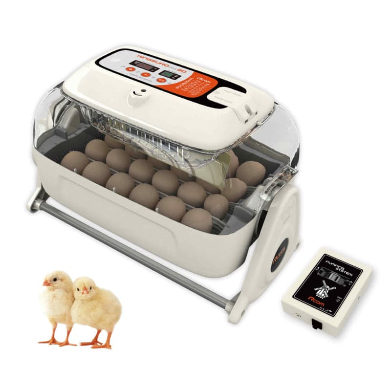 Digital Egg Incubator R-com 20 Suro Chicken or Reptile Incubator 

 The R-COM Suro has automatic Egg Turning by the use of the turning cradle but more important it has full humidi