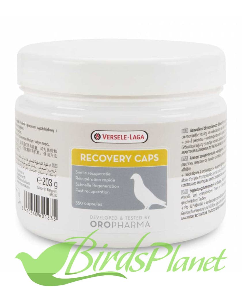 Oropharma Recovery Caps 

 Product presentation 

Complementary feed for pigeons. Oropharma Recovery Caps are a protein and energy rich feed in capsule form to support sick or exha