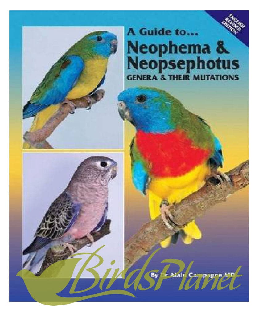 A Guide to Neophema and Neopsephotus Genera and their Mutations 

 Dr Alain Campagne has been keeping birds since the 1970s and since 2000 has been seriously involved in the breedi