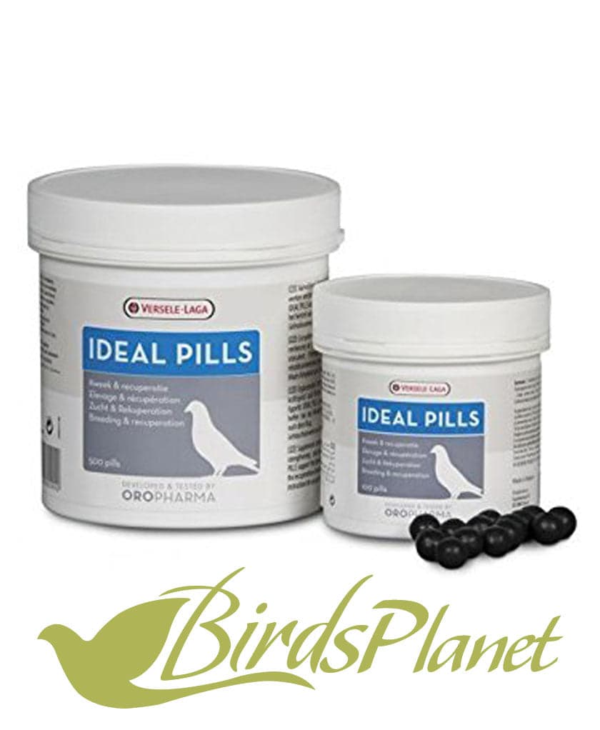 Ideal Pills

Product presentation 

 Complementary feed for pigeons. Oropharma Ideal Pills are health pill on the basis of plants and herbs. This dietary supplement promotes the ap