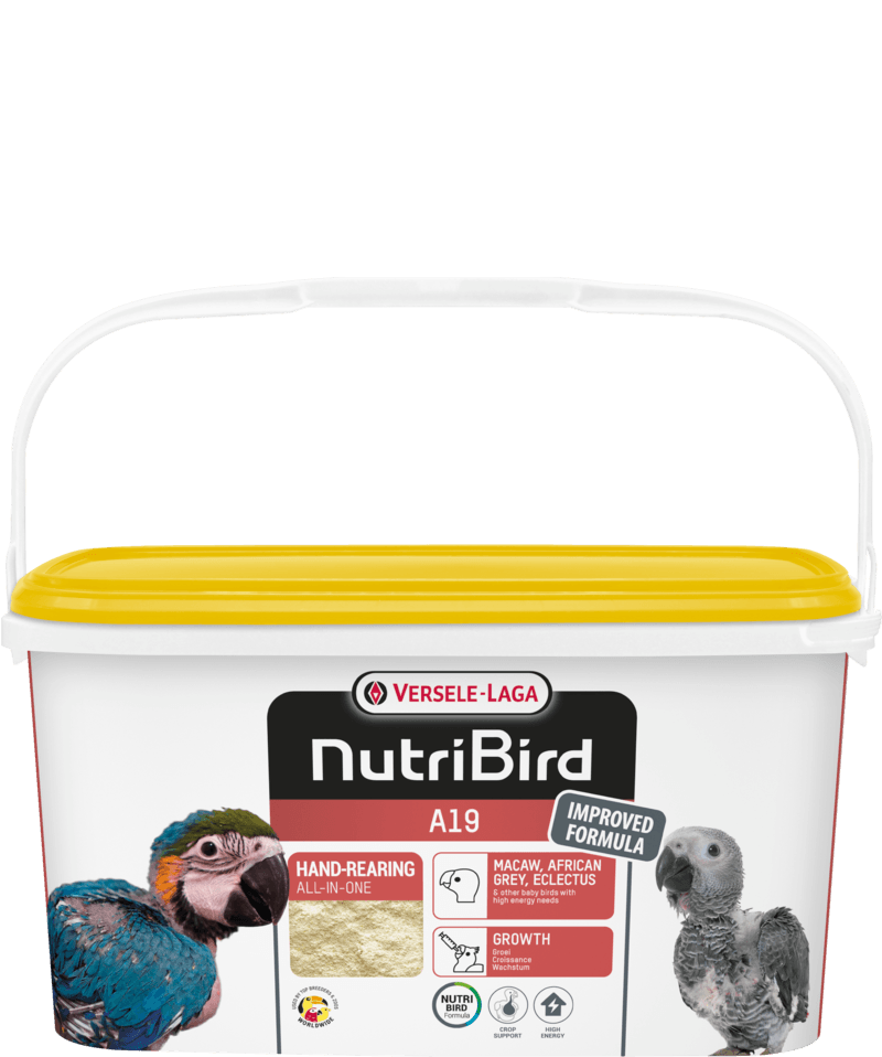 NutriBird A 19 is a complete birdfood for hand-rearing High Energy 

 Versele Laga NutriBird A19 High Energy is a complete hand raising feed specially formulated for chicks with hi