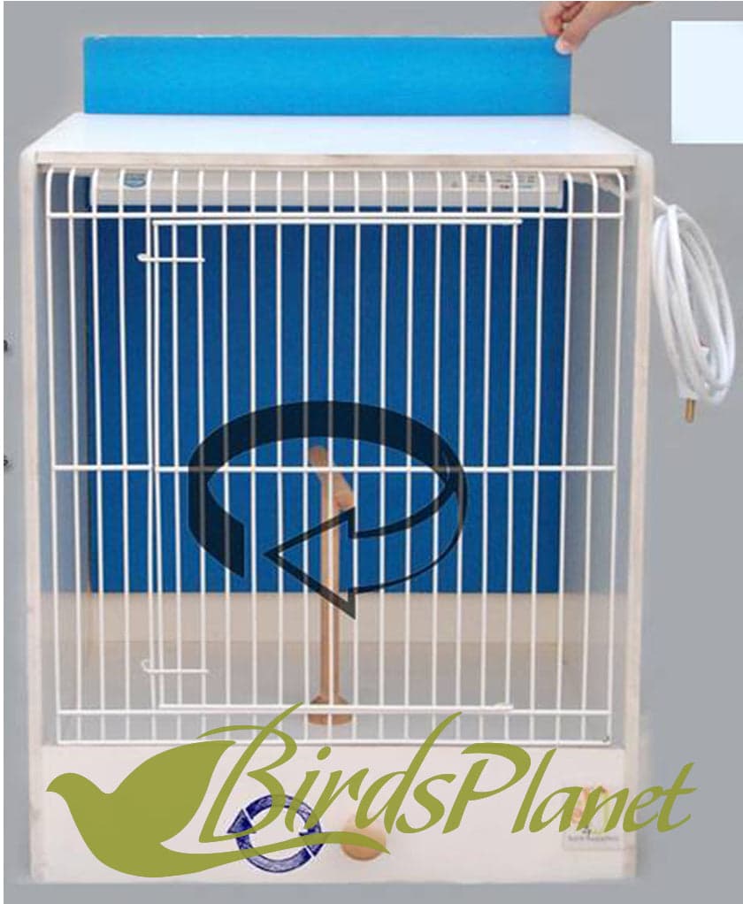 Picture Cage (Bird Studio) 

 Water proof and termite proof, Washable material

 Available in 2 Sizes

 Small with perch rotation without light 

 Large with light and 360 degree p