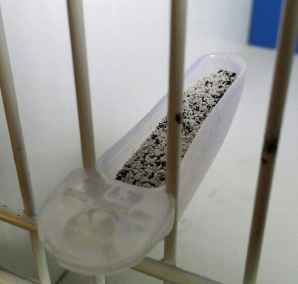 Sleek food finger drawer is ideal for budgies, finches and love birds. It is a long clear plastic drawer that holds a lot of sufficient food for your birds. Doesn’t take much of th