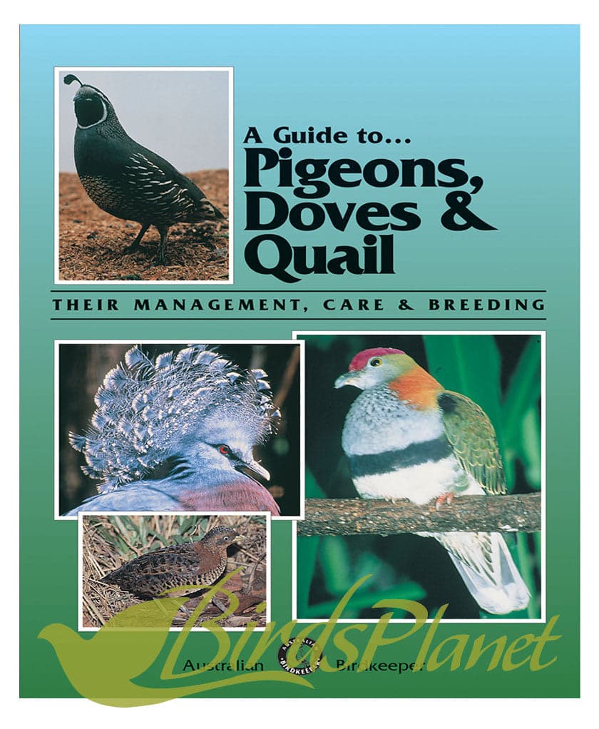 A Guide to Pigeons, Doves and Quail 

 A world first in aviculture, this title covers all species in this group available to the Australian aviculturist. Stunning colour photograph
