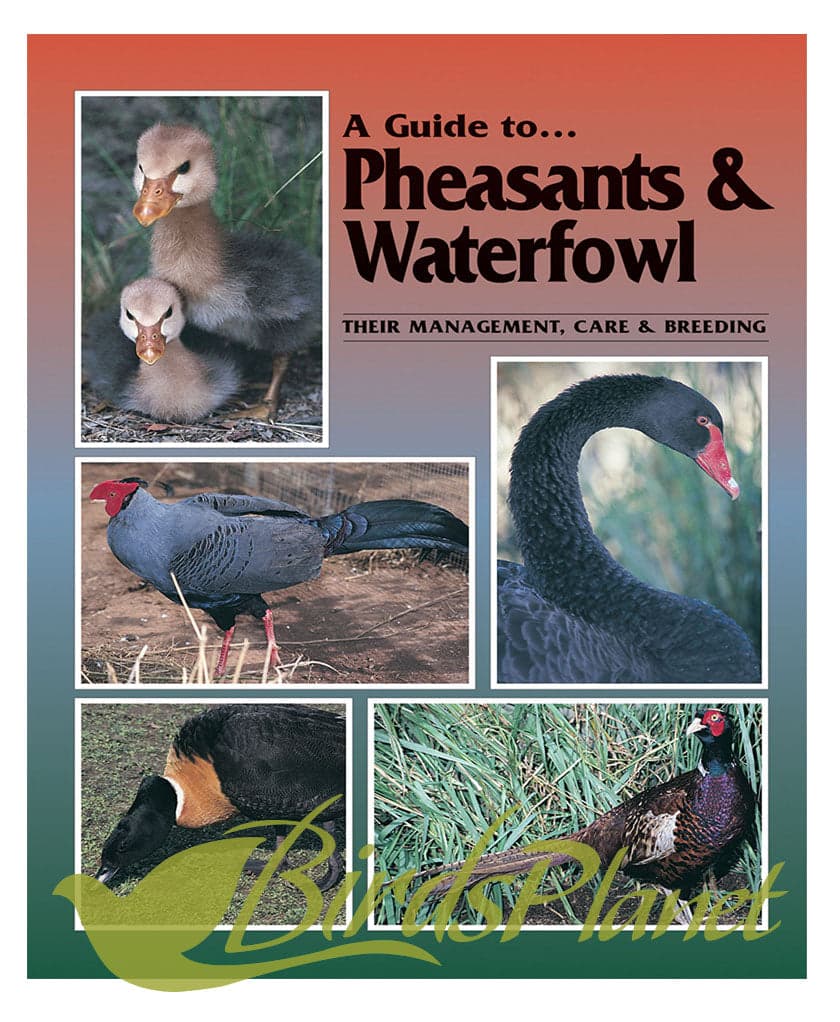 A Guide to Pheasants and Waterfowl 

 Author of the highly regarded A Guide to Pigeons, Doves & Quail, Dr Danny Brown has produced this superlative title on pheasants and waterfowl