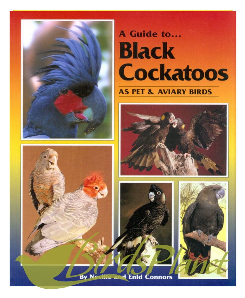 A Guide to Black Cockatoos as Pet and Aviary Birds (Soft Cover) 

 Authored by successful parrot breeders Neville and Noddy Connors, this title featuring 300 colour photographs ove