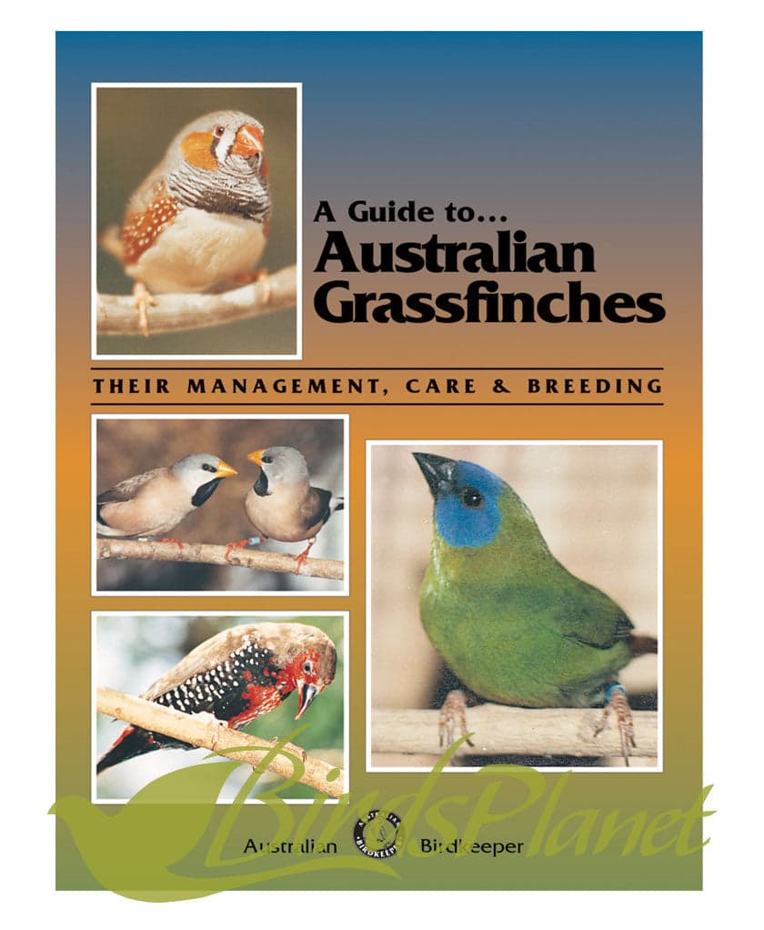 A Guide to Australian Grassfinches 

 The popularity of Australian Grassfinches worldwide is largely due to the hardiness of these tiny, gregarious and colourful birds. The 18 memb