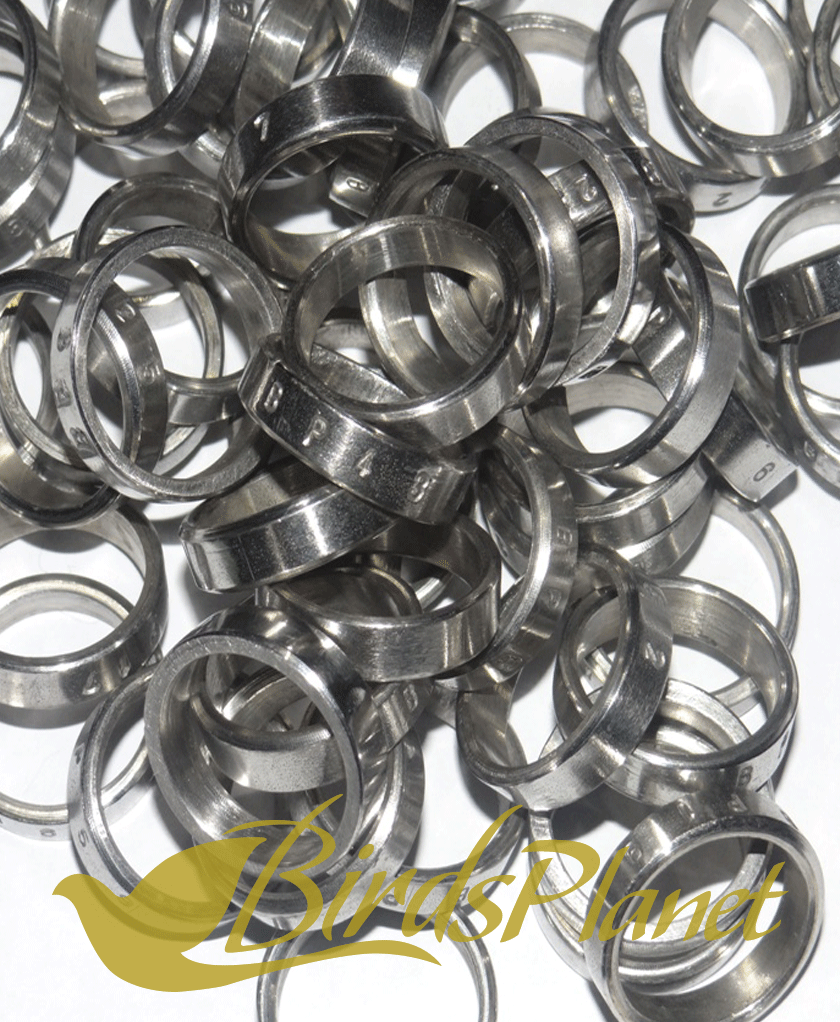 Finest Quality in your Range