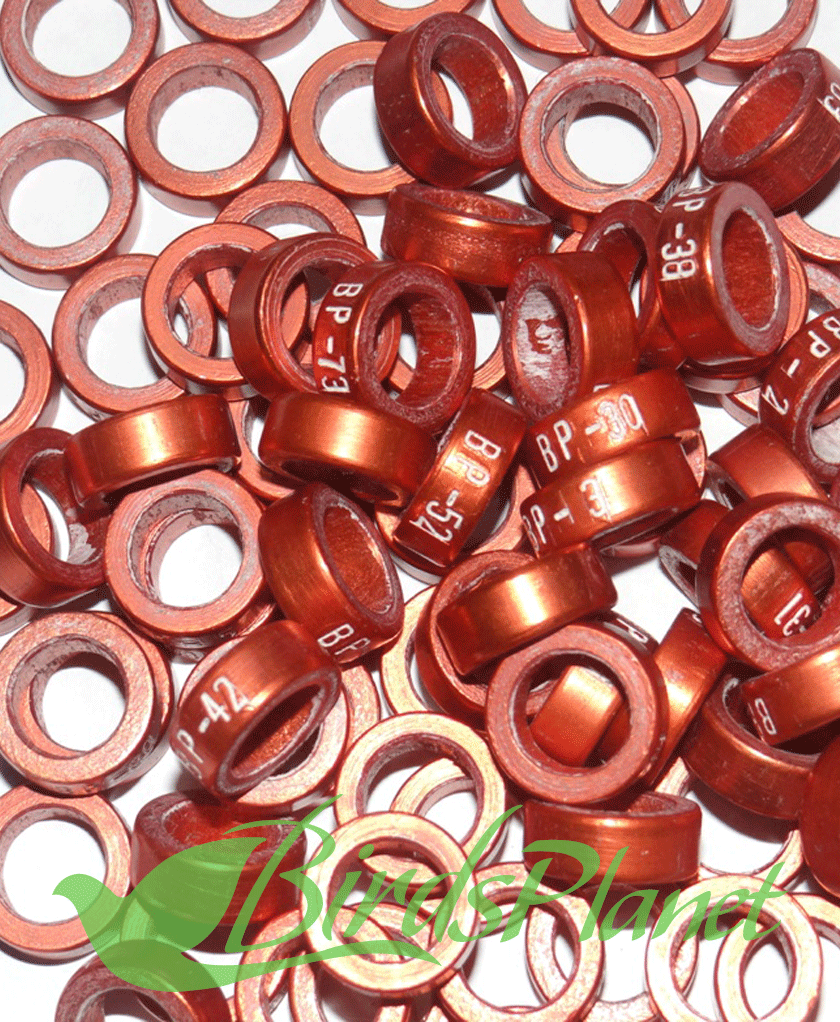 Finest Quality in your Range