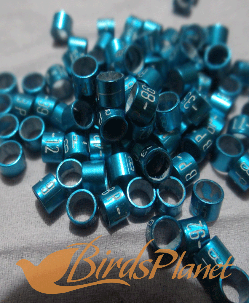 Finest Quality in your Range