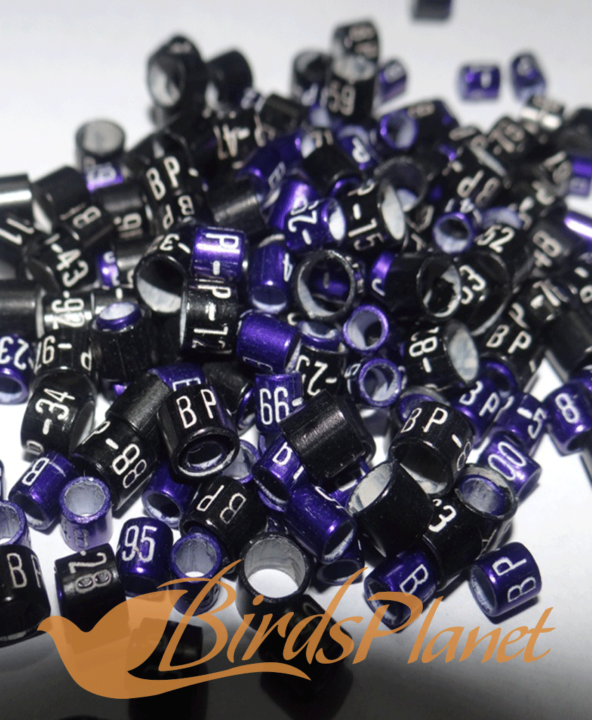 Finest Quality in your Range