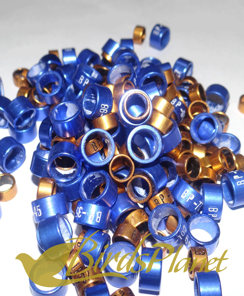 Finest Quality in your Range