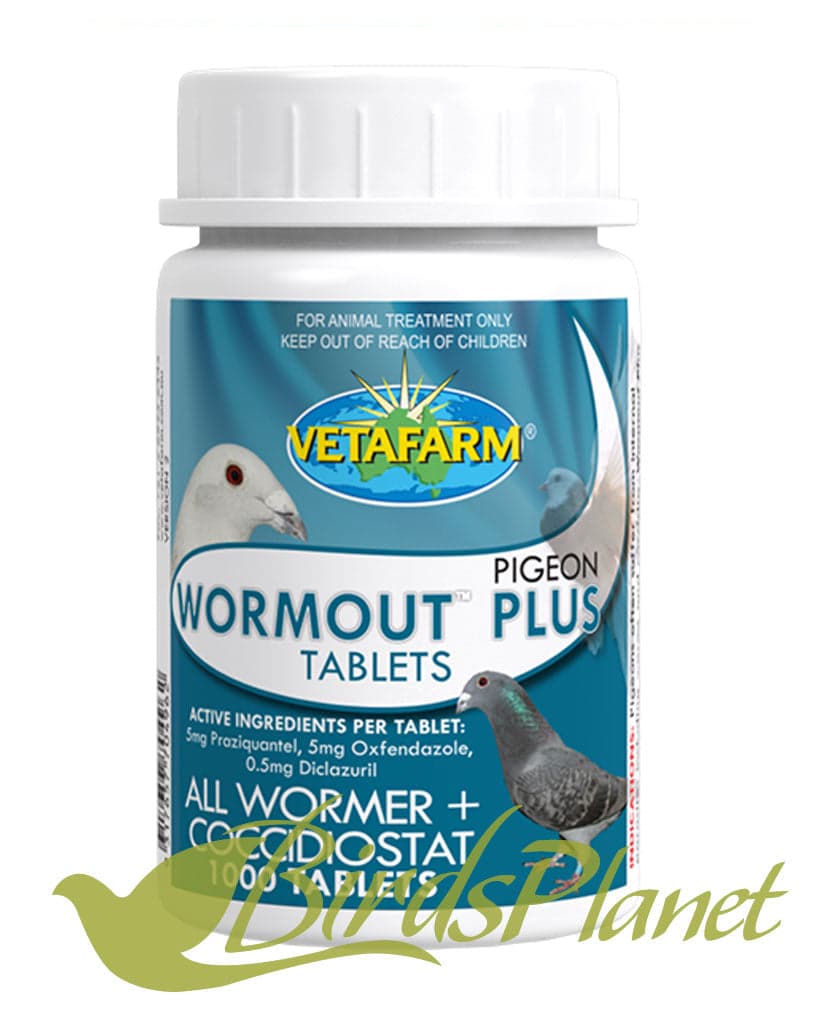 Pigeon Wormout Plus Tablets 

 All wormer and coccidiostat tablets.

 Recommended for: Internal parasite control.

 Key features: Pigeons often suffer internal parasites including 
