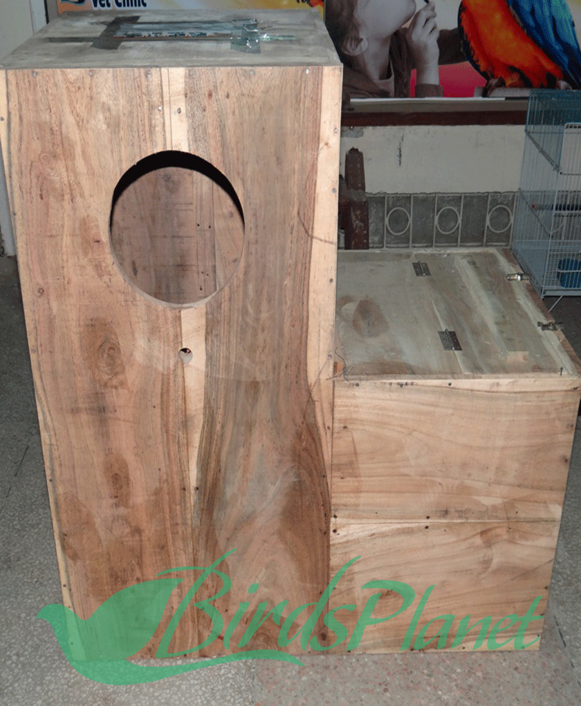 Breeding Box for Macaw 

 Height 35", Depth 20", Width 35"