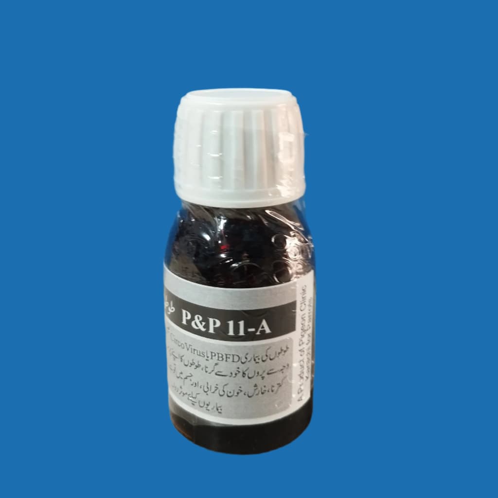 P & P-11 Aپروں کا گرنا

 طوطوں کی بیماری جیسی علامات یا کسی بھی وجہ سے پروں کا خود گرنا طوطوں کا اپنے پروں کو نوچنا یا پروں کو کترنا خارش خونی کی خرابی اور جسم میں قوت مدافیت کی کم